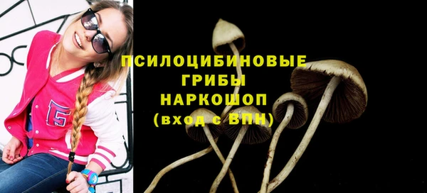 метамфетамин Ладушкин